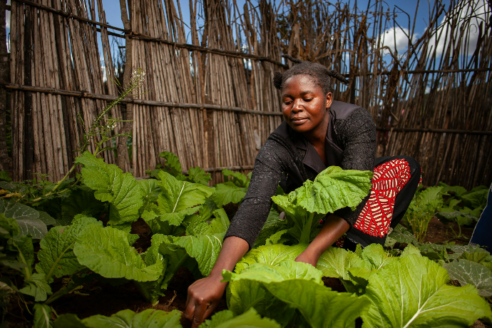 A woman tends to her garden